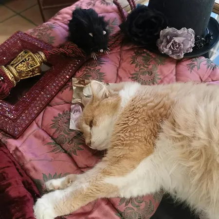 Parking Prive, Vue Montagnes, Deco Boheme *